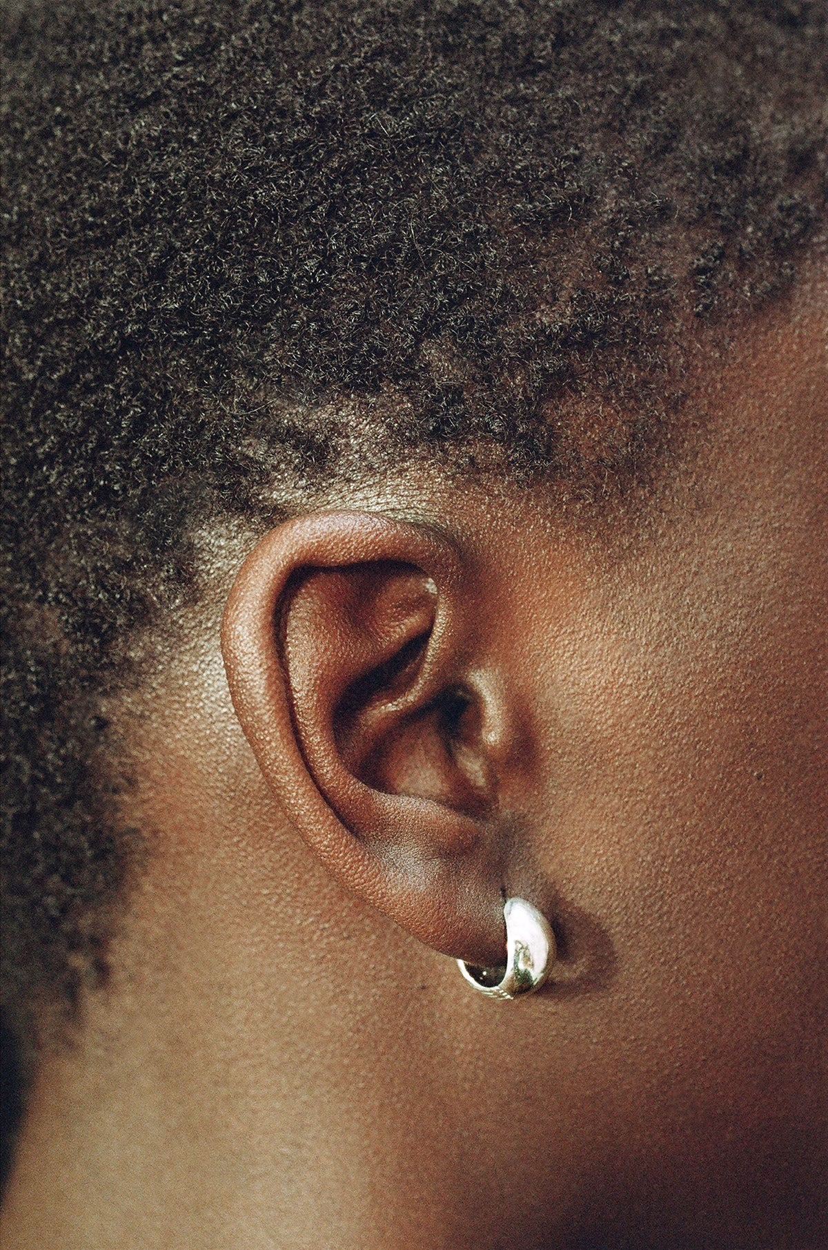 Reversible Hinged Hoops